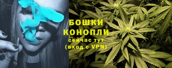ПСИЛОЦИБИНОВЫЕ ГРИБЫ Бронницы